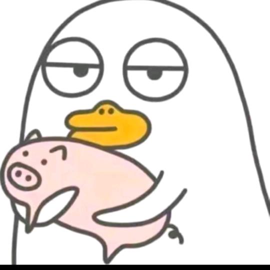 你的叶先生