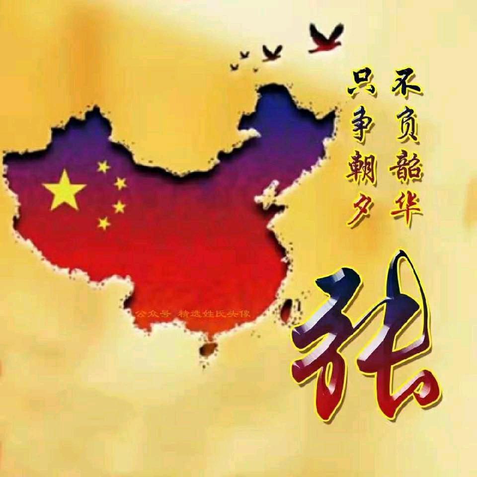 奇哥