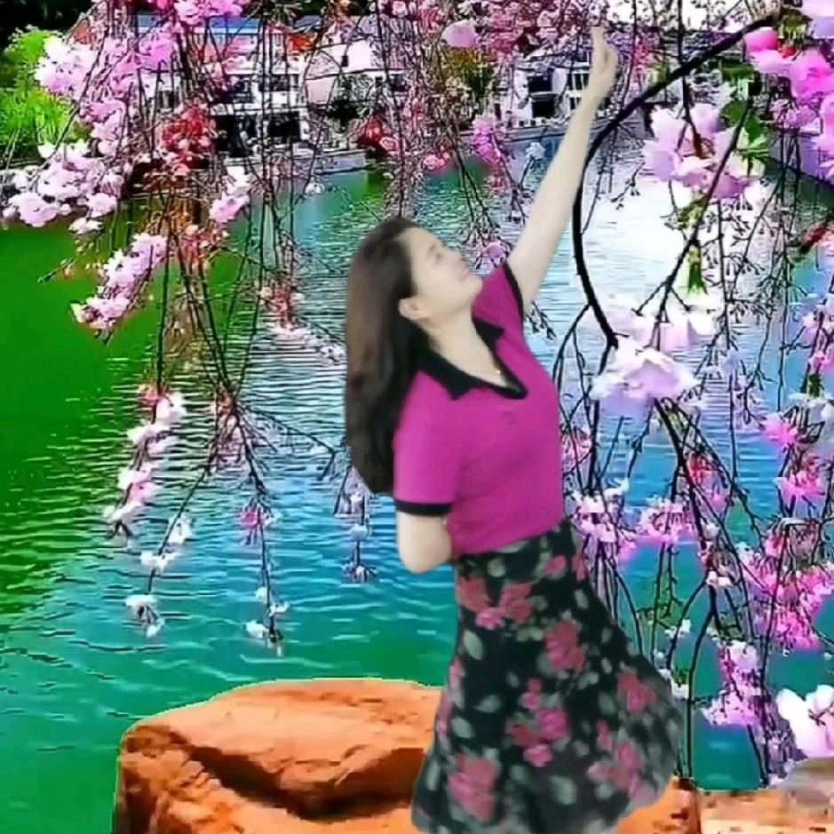 缎璇