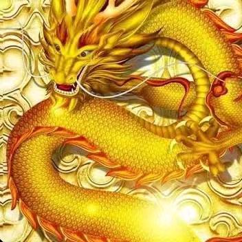 （中國龍）