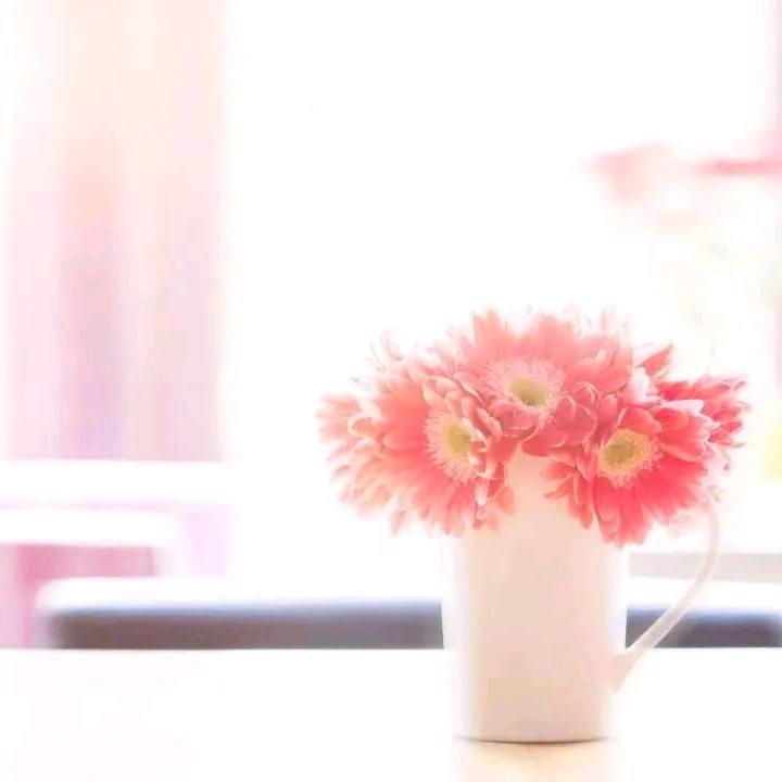 塔拉
