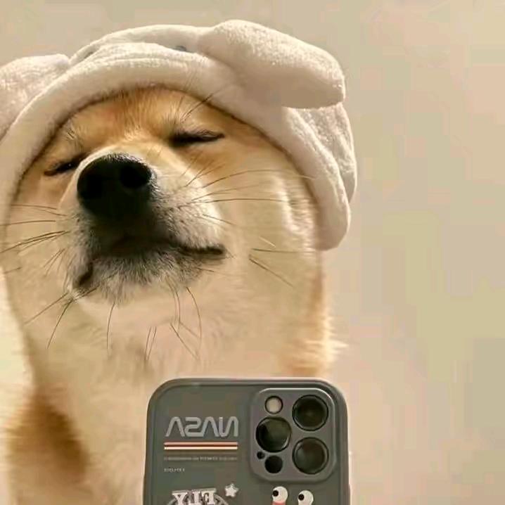 彧.