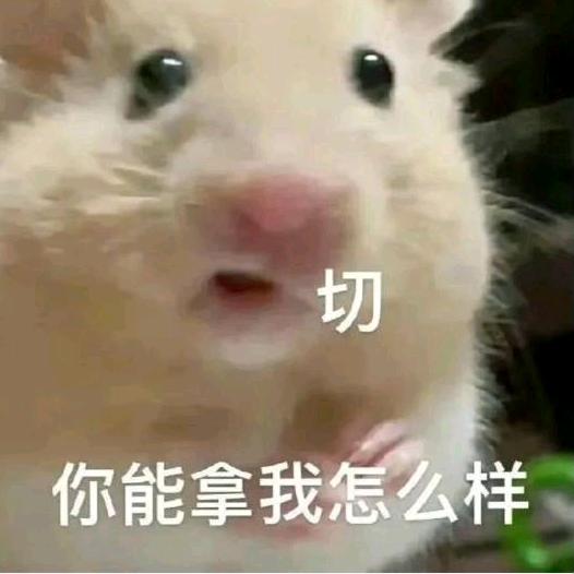 放假的大⛰️姆