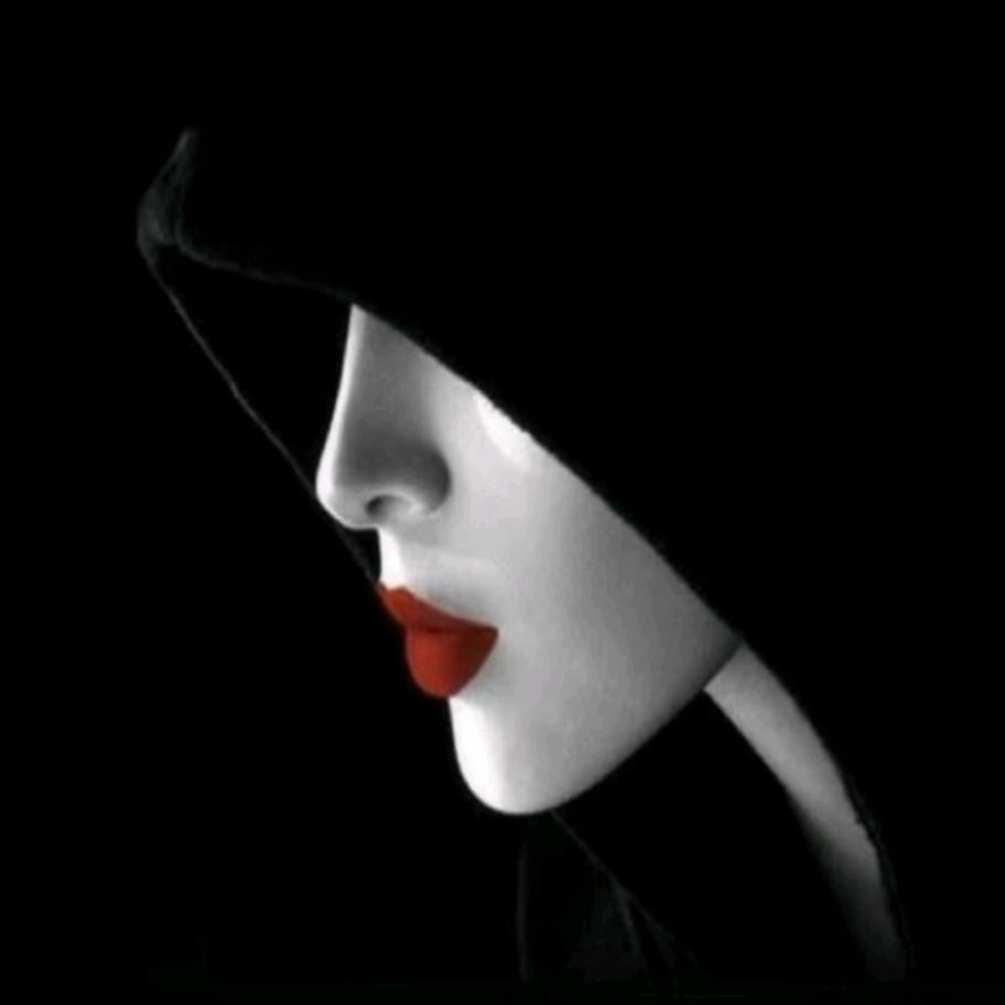 包包菜家的二爷