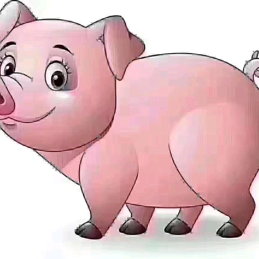 旭日升