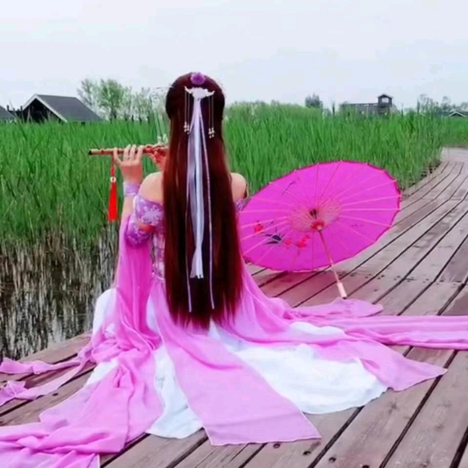 晚霞中的红蜻蜓