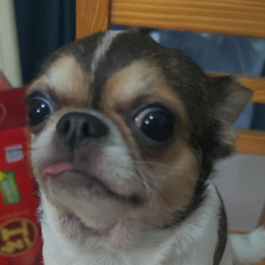 凉快清爽