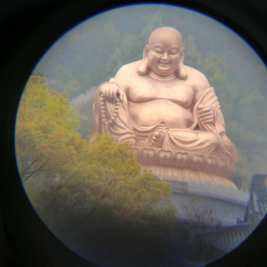 努力向钱💰💰💰