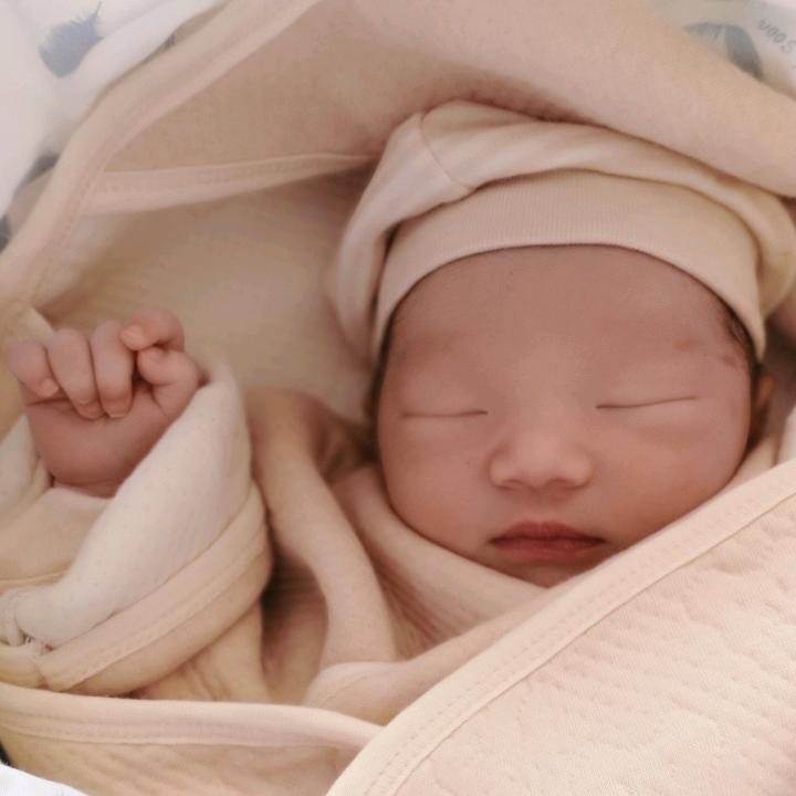 果果锂电