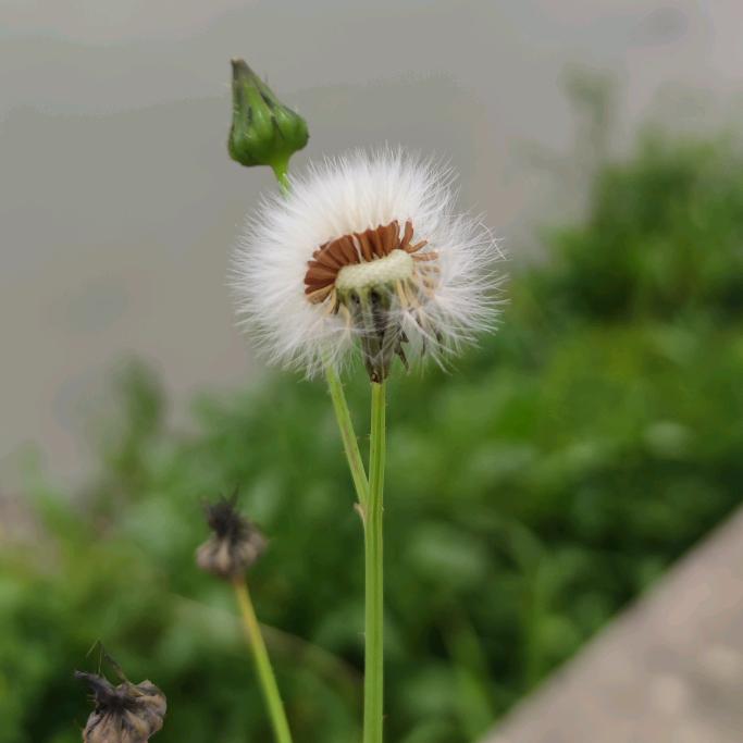 默生人@
