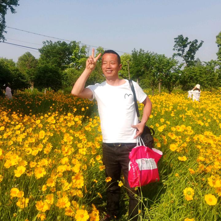 (-^〇^-) 抖音号（到处观察）