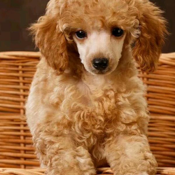 陪你一起慢慢变老