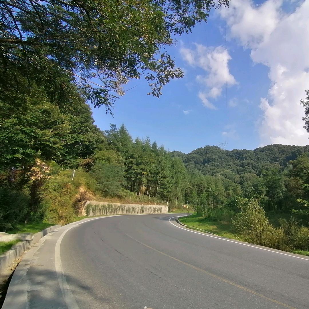 独行山水间 ້໌ᮨ（各种品牌胶全国发货)