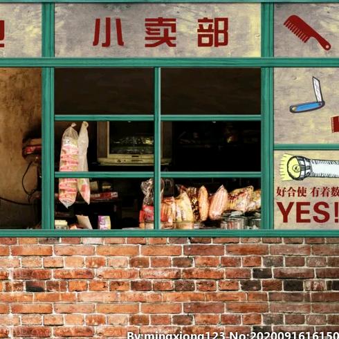 砖家的砖