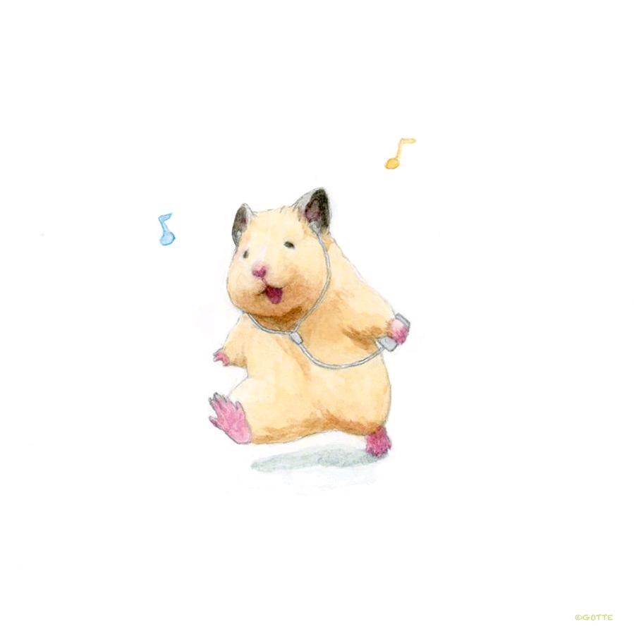 落盏盏