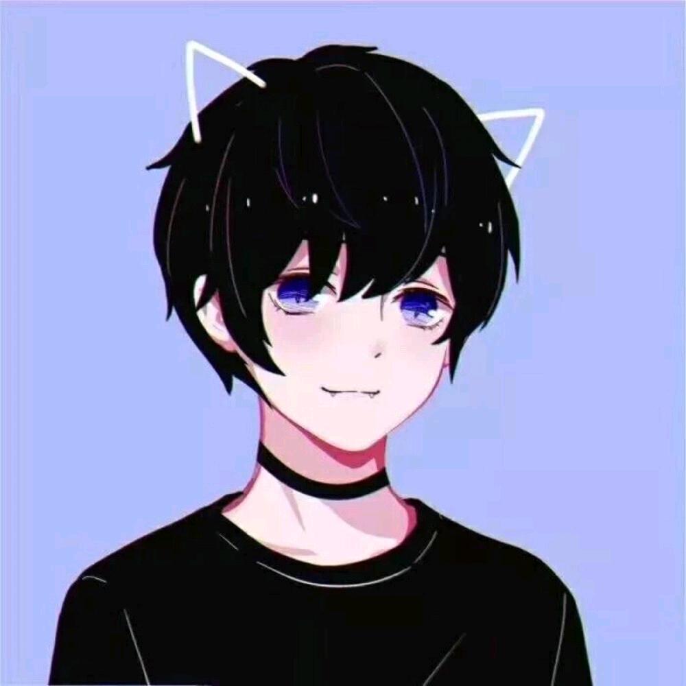 萌猫日记