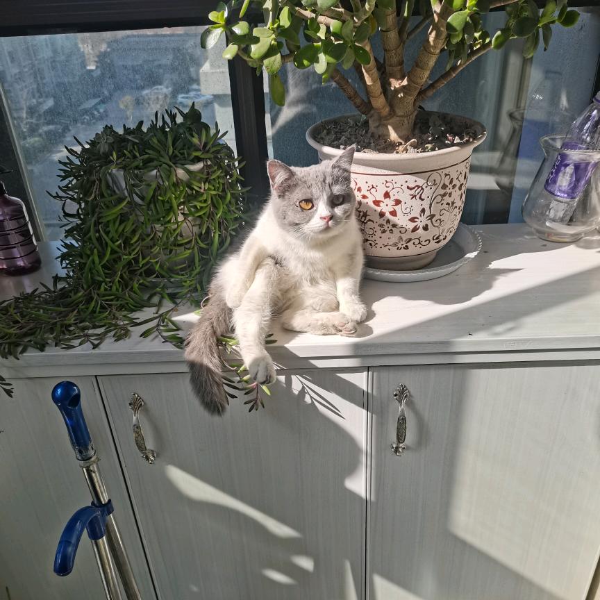 下一站永远