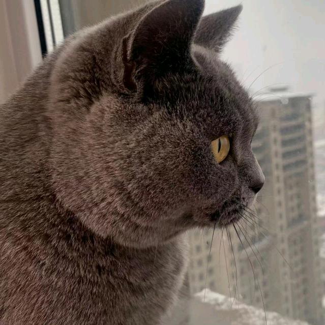 好运开箱