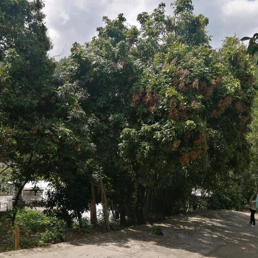 ₅₂₀💞࿐刘连王返₅₂₀💞