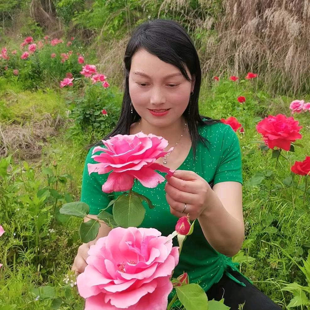 晓枝
