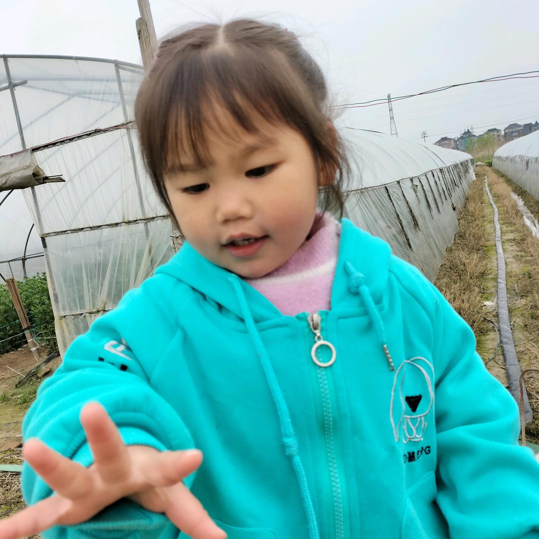 杨。