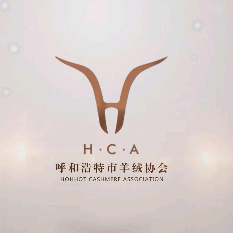 呼和浩特市羊绒协会