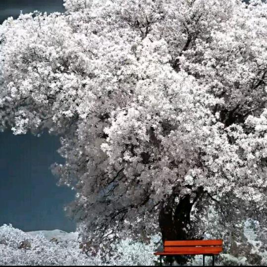 风虚雨儿
