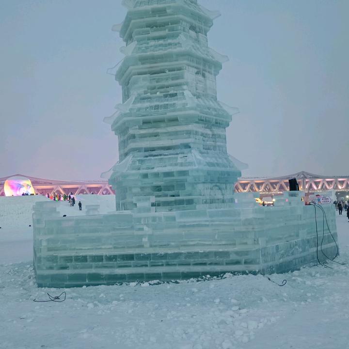 飞龙
