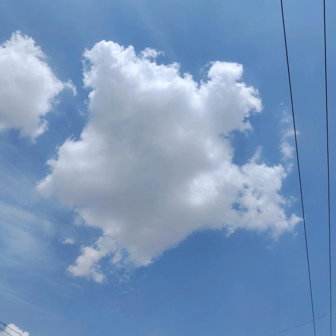 落地生花