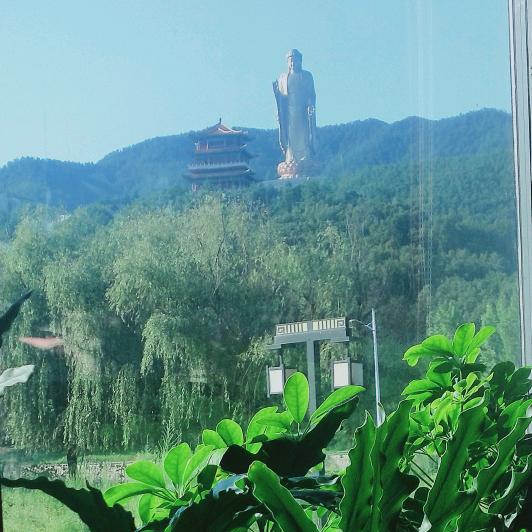 杨光明媚
