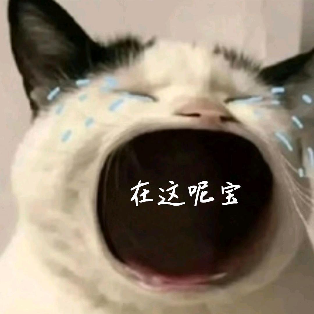 沉沦鱼树