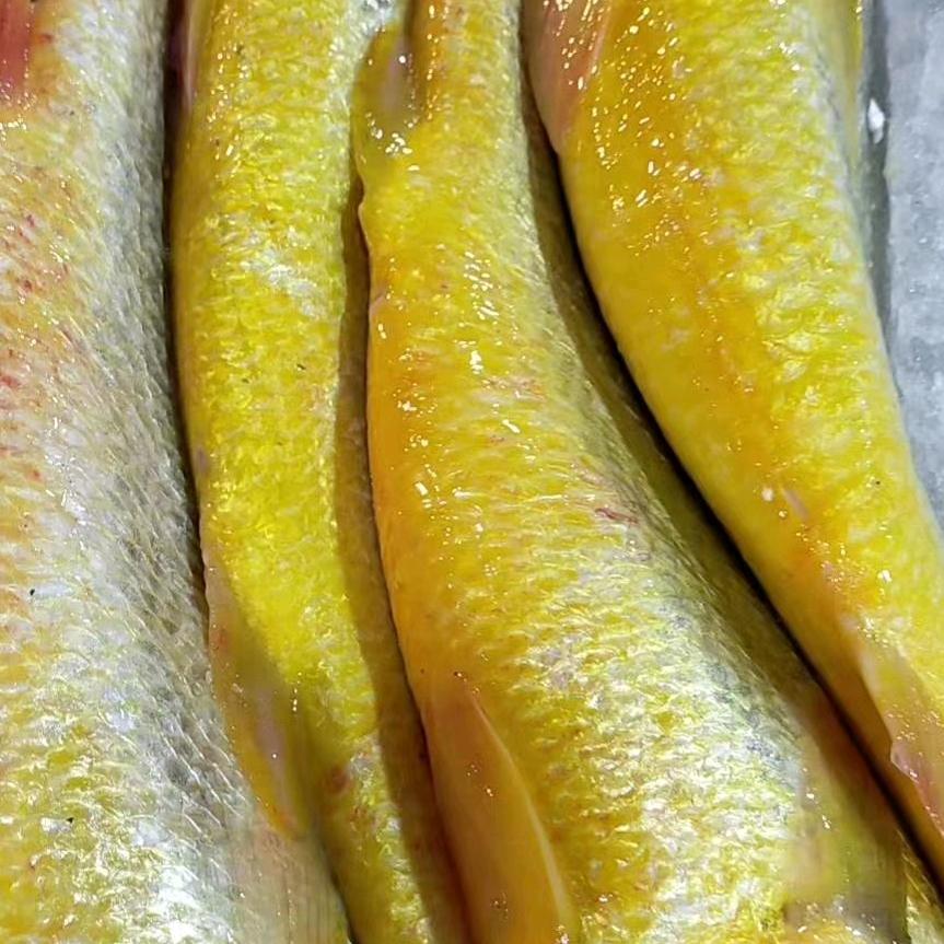 天然海鲜