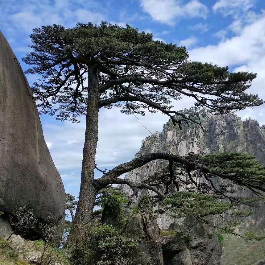 万水千山总是情帅乡