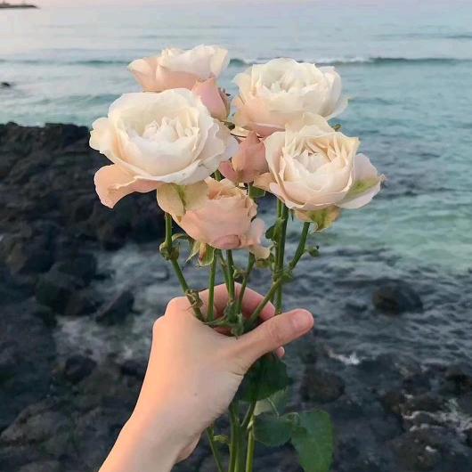 嗳🌻