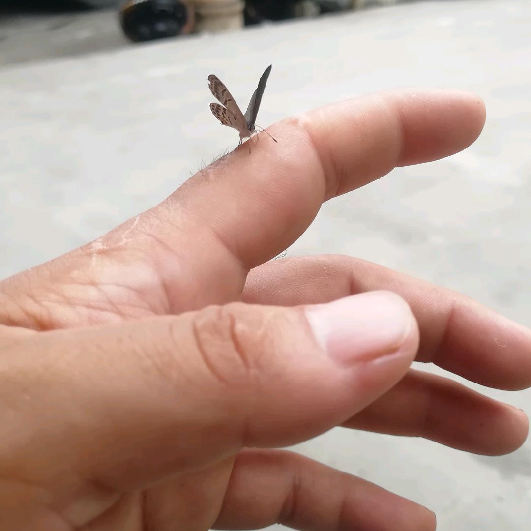 @大路坝的温度飘到骝马场