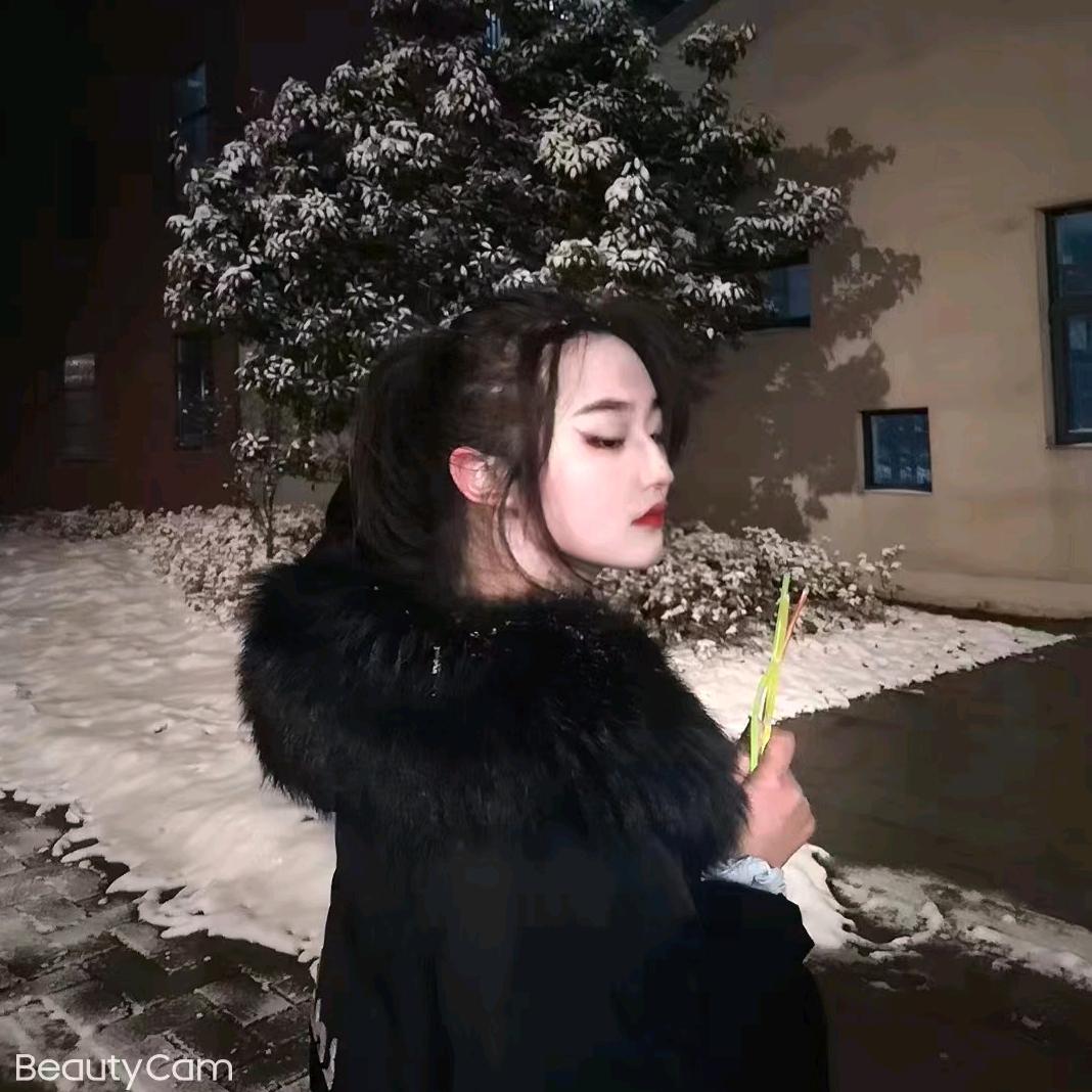 九死一生的季九儿头像