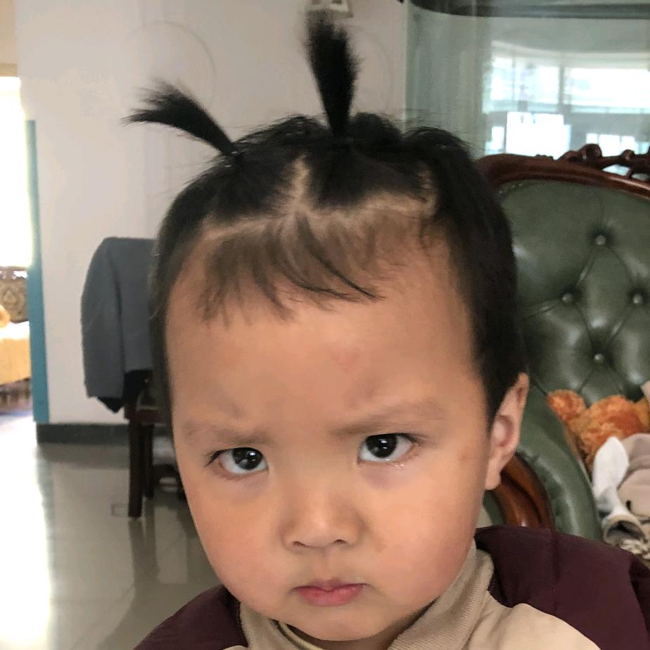 黑领仔