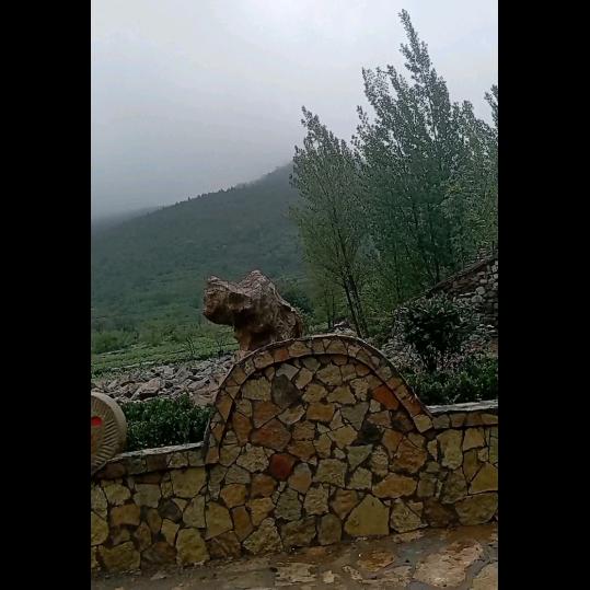 骑着蜗牛追流星