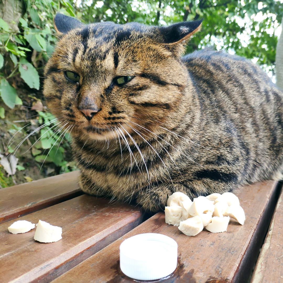 饭饭的民宿