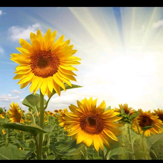 淡雅育婴精选橱窗好物