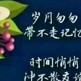 姹紫嫣红