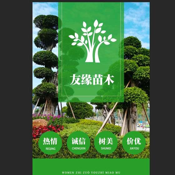 芦淞区友缘苗木经营部