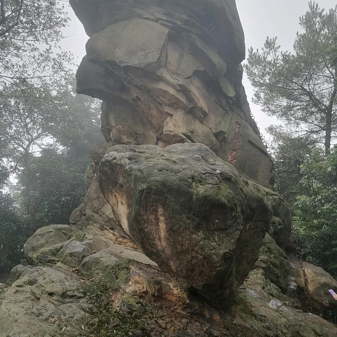 缘份