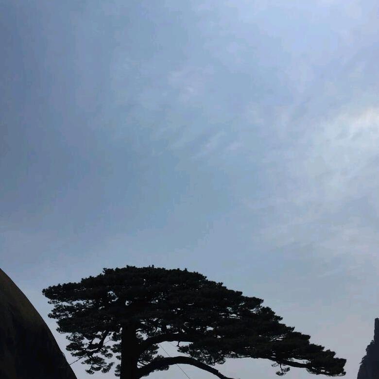 岁月静好(✪▽✪)