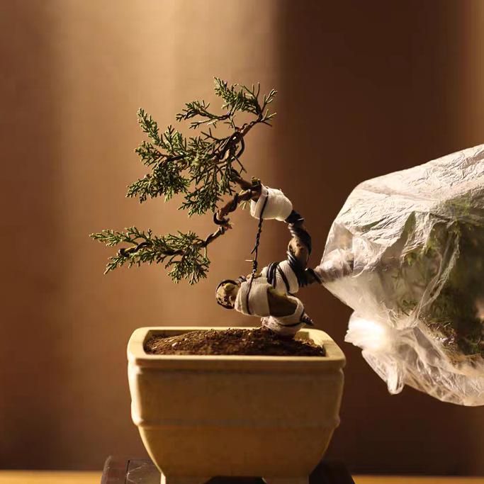 繁星点点精品紫砂