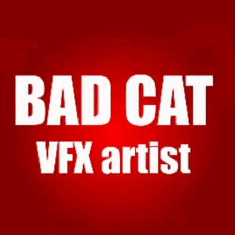 BAD CAT VFX