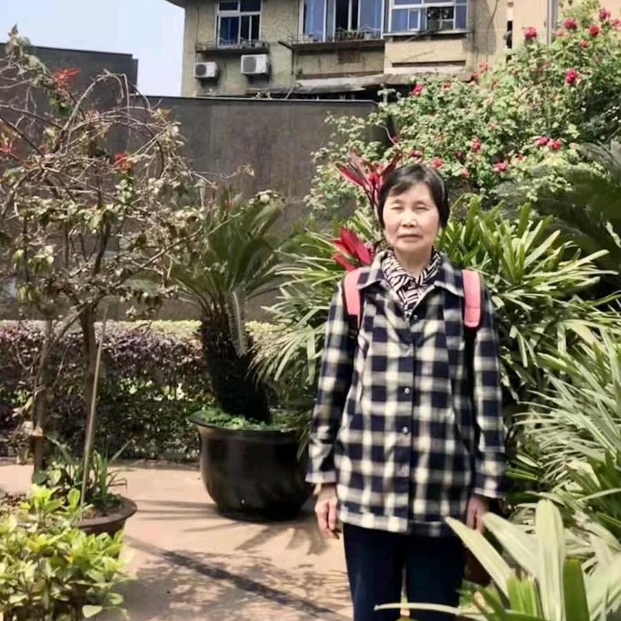 了若只如初见