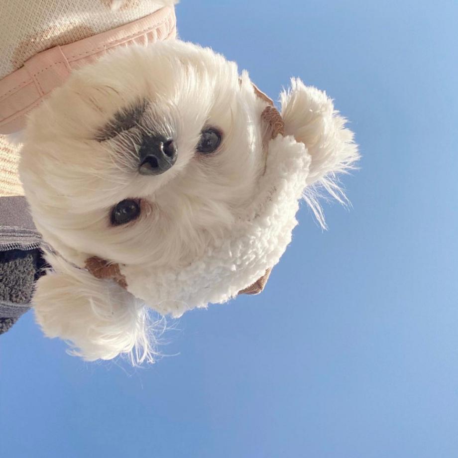 忘却暮色头像
