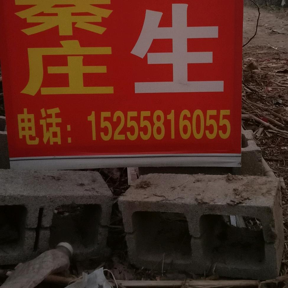 侯先生☞