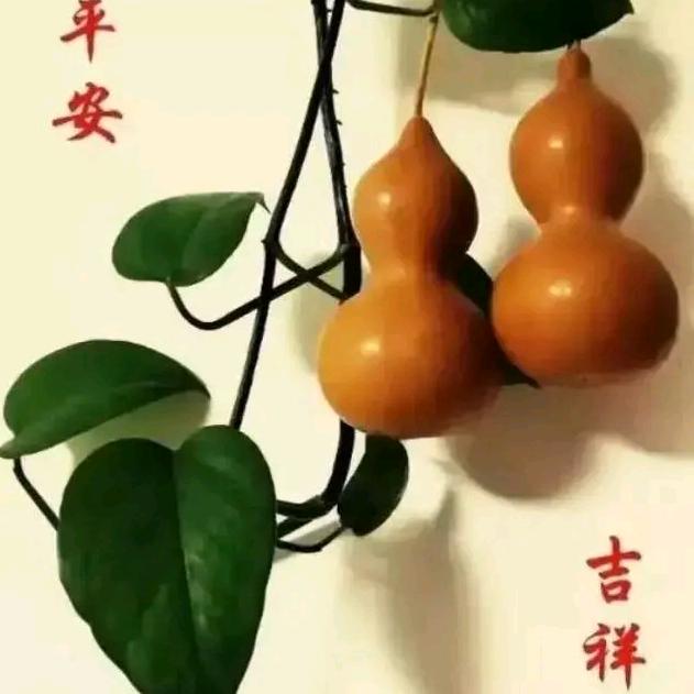 新